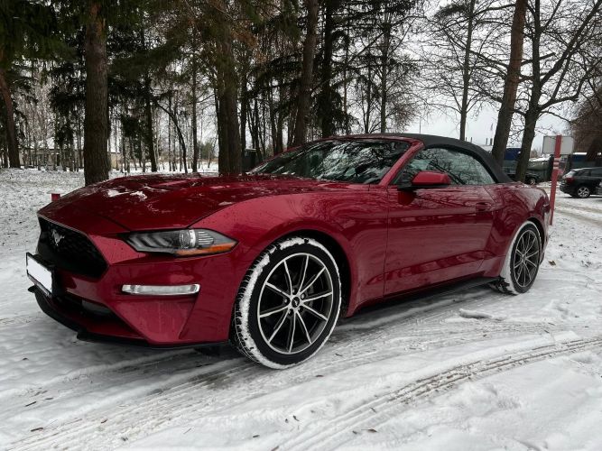 Покраска по КАСКО Ford Mustang — до и после